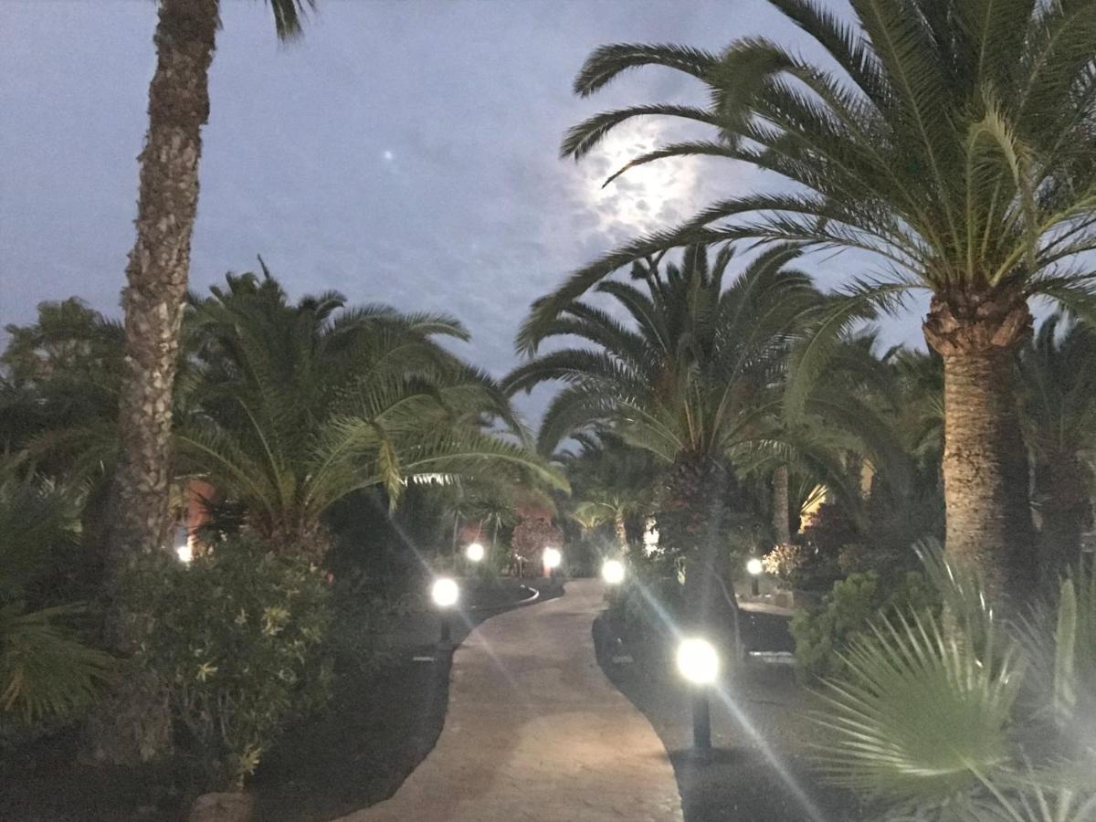 My Pretty Home - Lovely And Spacious Surrounded By Tropical Gardens - Private Covered And Uncovered Terrace - Pool - Parking - Free Fibre Optic Internet Corralejo Exteriör bild