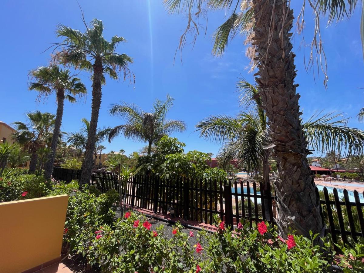 My Pretty Home - Lovely And Spacious Surrounded By Tropical Gardens - Private Covered And Uncovered Terrace - Pool - Parking - Free Fibre Optic Internet Corralejo Exteriör bild