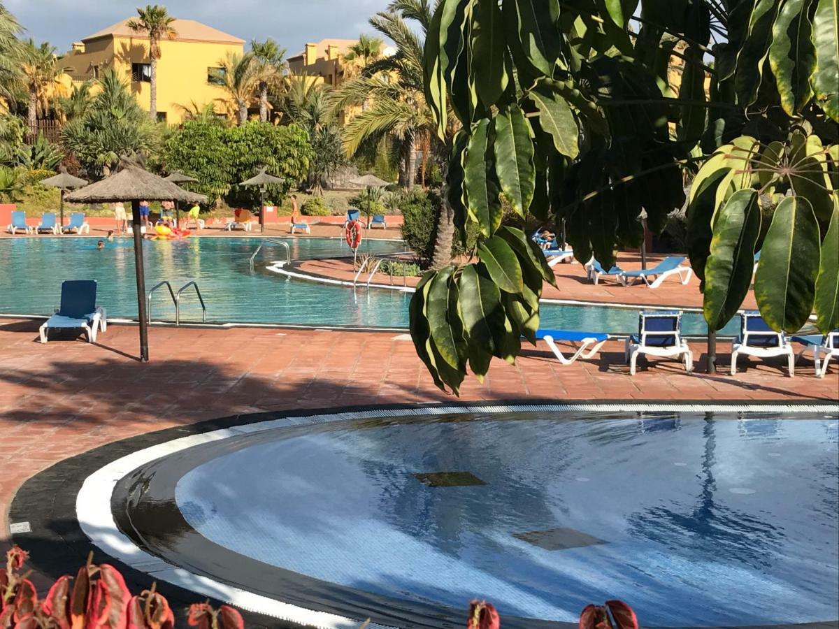 My Pretty Home - Lovely And Spacious Surrounded By Tropical Gardens - Private Covered And Uncovered Terrace - Pool - Parking - Free Fibre Optic Internet Corralejo Exteriör bild
