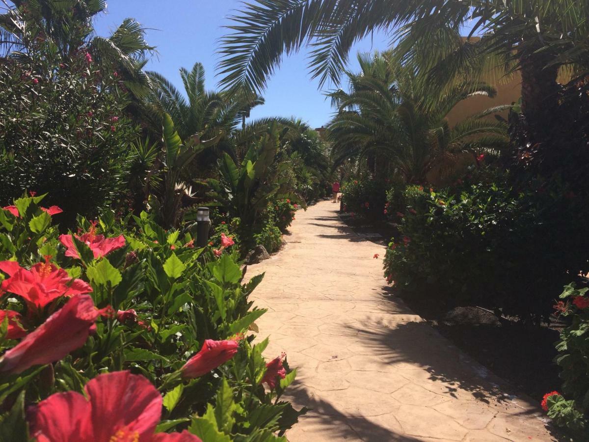 My Pretty Home - Lovely And Spacious Surrounded By Tropical Gardens - Private Covered And Uncovered Terrace - Pool - Parking - Free Fibre Optic Internet Corralejo Exteriör bild