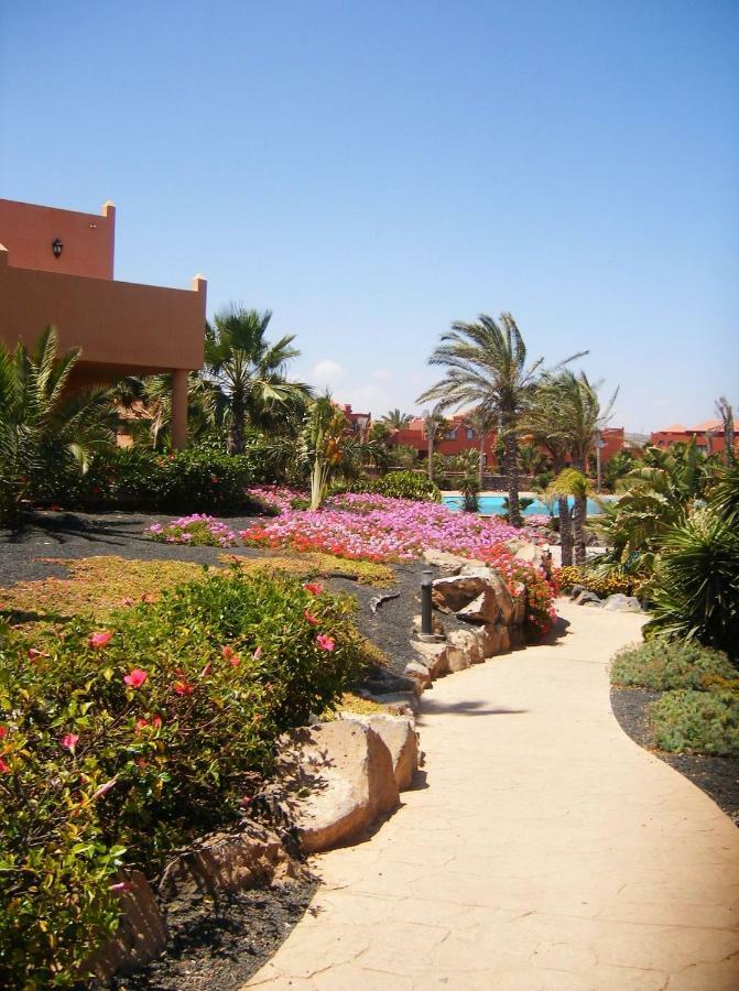 My Pretty Home - Lovely And Spacious Surrounded By Tropical Gardens - Private Covered And Uncovered Terrace - Pool - Parking - Free Fibre Optic Internet Corralejo Exteriör bild